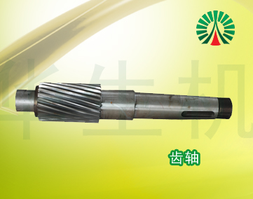 生物質(zhì)顆粒機(jī)配件中心齒軸